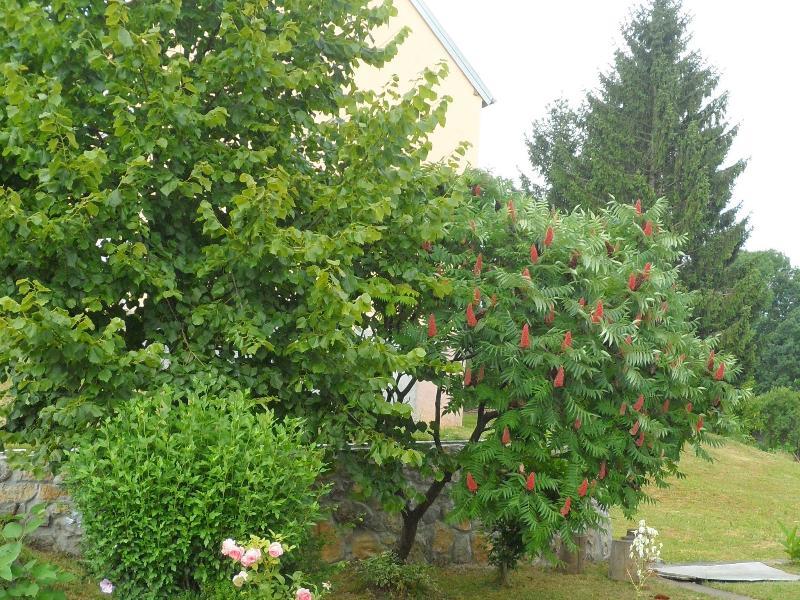 Apartment Rendulic Rakovica Eksteriør bilde